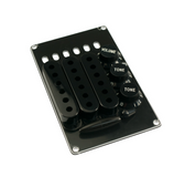 Strat Style Plastics Appearance Kit