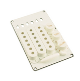 Strat Style Plastics Appearance Kit